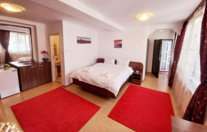 Perfect Place Apartments Brasov Old Town